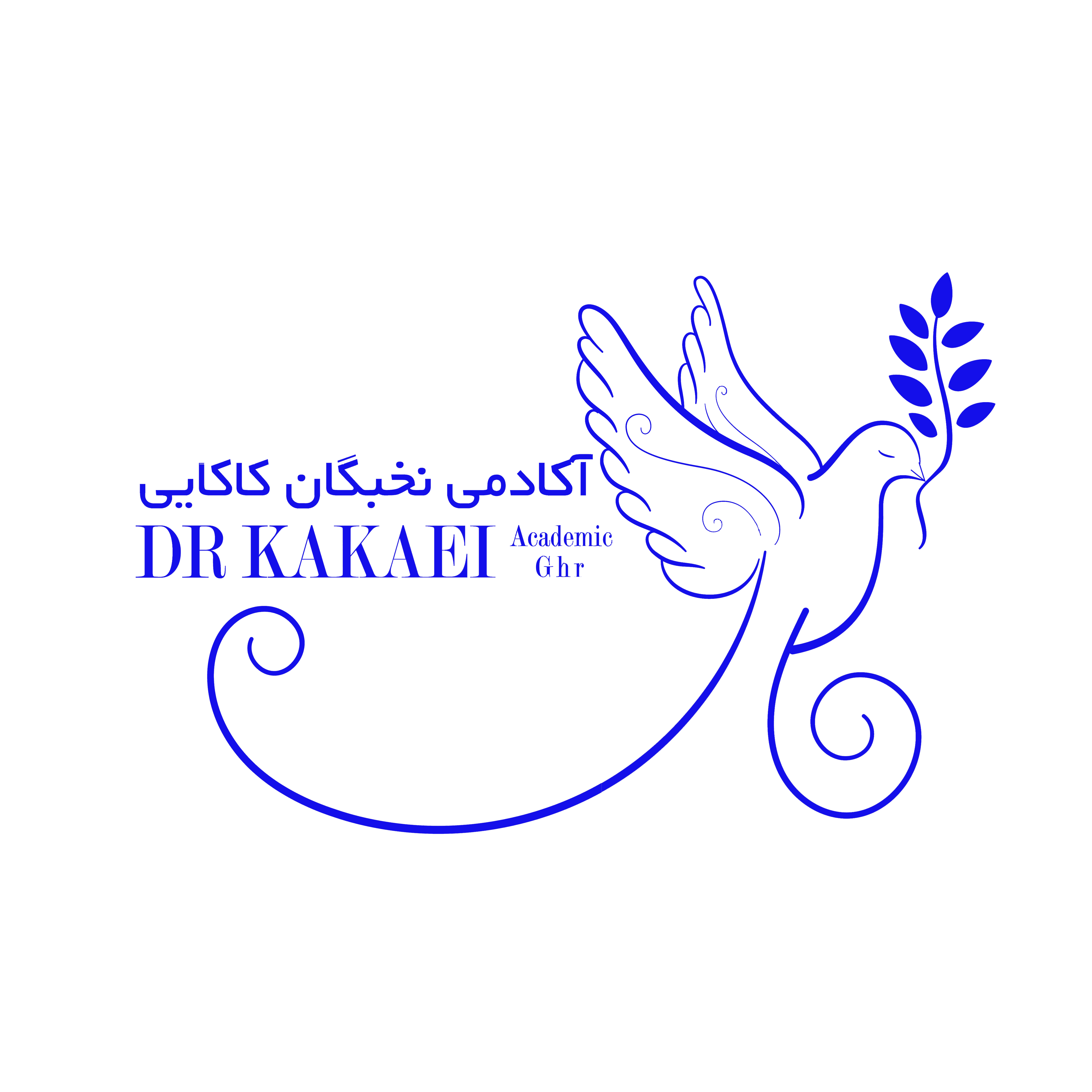 آکادمی نخبگان دکتر کاکائی